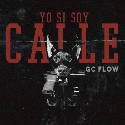 Yo si soy calle - Single