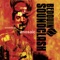 When the Night Feels My Song - Bedouin Soundclash lyrics