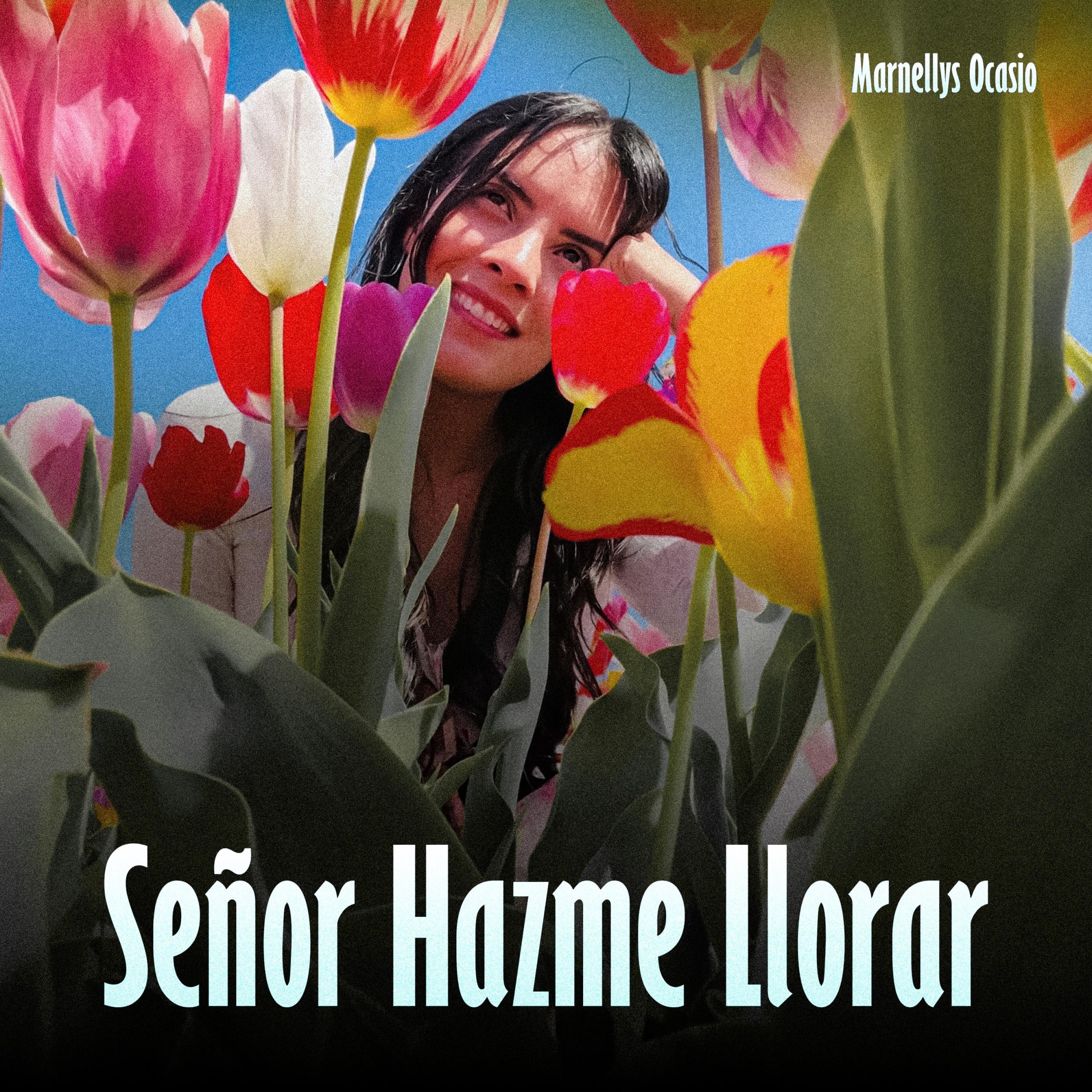 Señor Hazme Llorar (Acústica) - Single