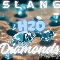 Izzet Jewel - Single - Slang