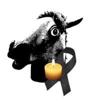 PADALUSTRO - Single - MORITO