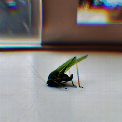 Realignment - Single