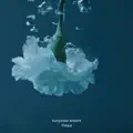 Petals