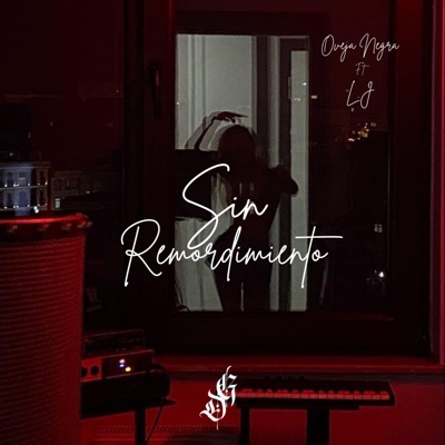 Sin Remordimiento (feat. L.J & Oveja Negra) - Single
