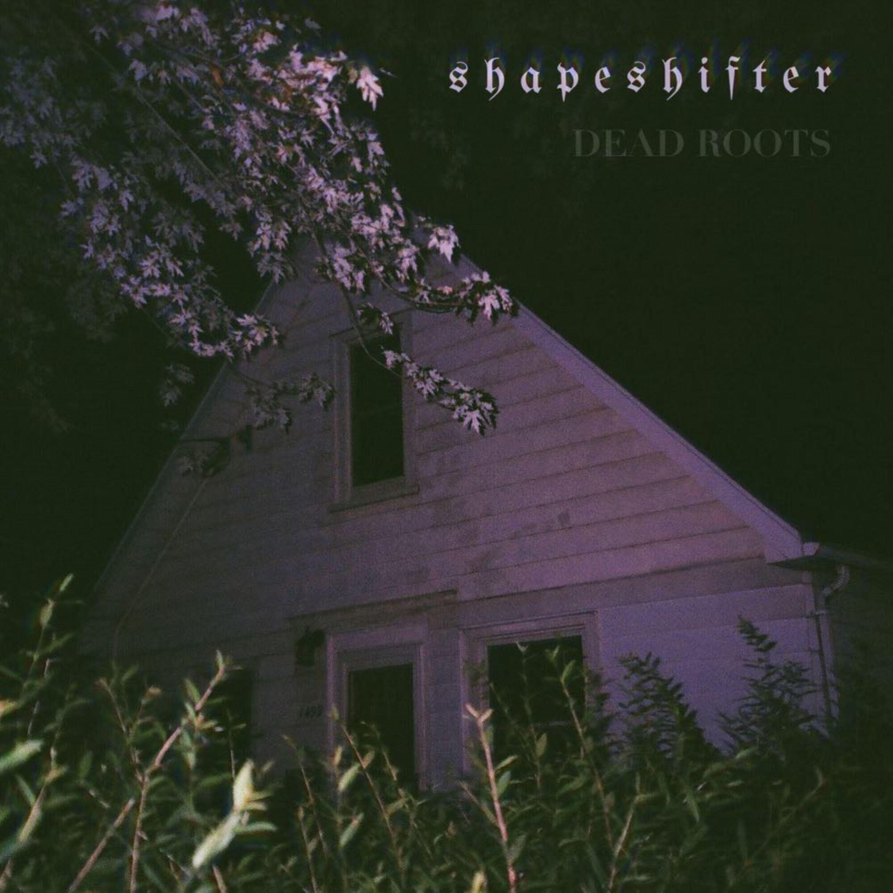 Shapeshifter - Single