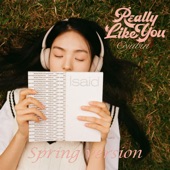 Really Like You (Spring Version) artwork