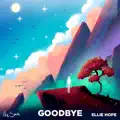 Goodbye