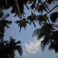 talkin2myself - Single - KID E$s & sundwn