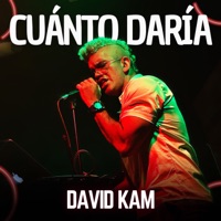 CUANTO DARiA