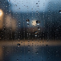 City of Tears (Hollow Knight lofi) - Single - Tune in with Chewie