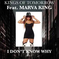 I Don't Know Why (feat. Marva King) [Sandy Rivera Classic Instrumental] — Kings of Tomorrow