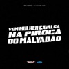 Vem Mulher Cavalga na Piroca do Malvadão - Single