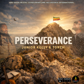 Perseverance