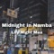 Midnight in Namba - Lily Night Mea lyrics