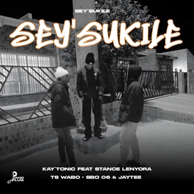 Seysukile (feat. Stance Lenyora, TS Wabo, Sbo 06, Stikkx & Jaytee) - Single