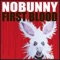 Blow Dumb - Nobunny lyrics