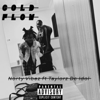 Cold Flow (feat. Taylorz DC iDOL) - Single - Norty vibez