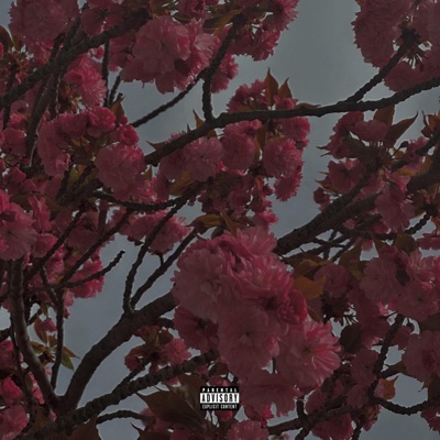 Finessed Love - EP