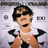 POUNDS AND DOLLARS artwork