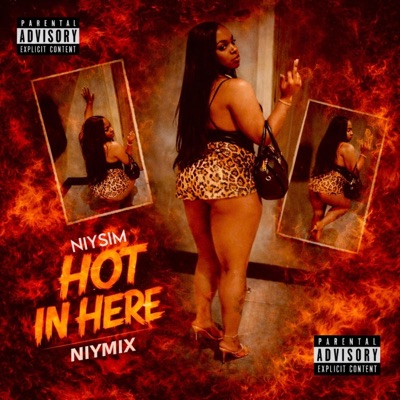 Hot In Here (Niymix) - Single
