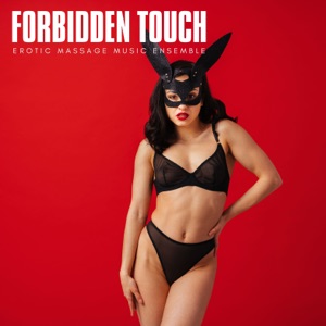 Forbidden Touch: Sensual Grooves