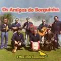 Ó Meu Lindo Canarinho