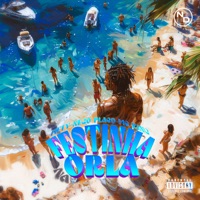 Festinha na Orla (Novo Lançamento) [feat. ND Music Records] - Single - MC King, Mc Nego Placo & FIFTY