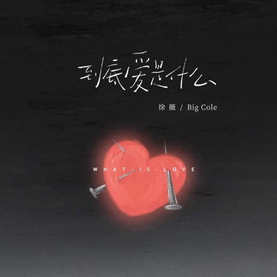 到底爱是什么 (遗憾版) - Single