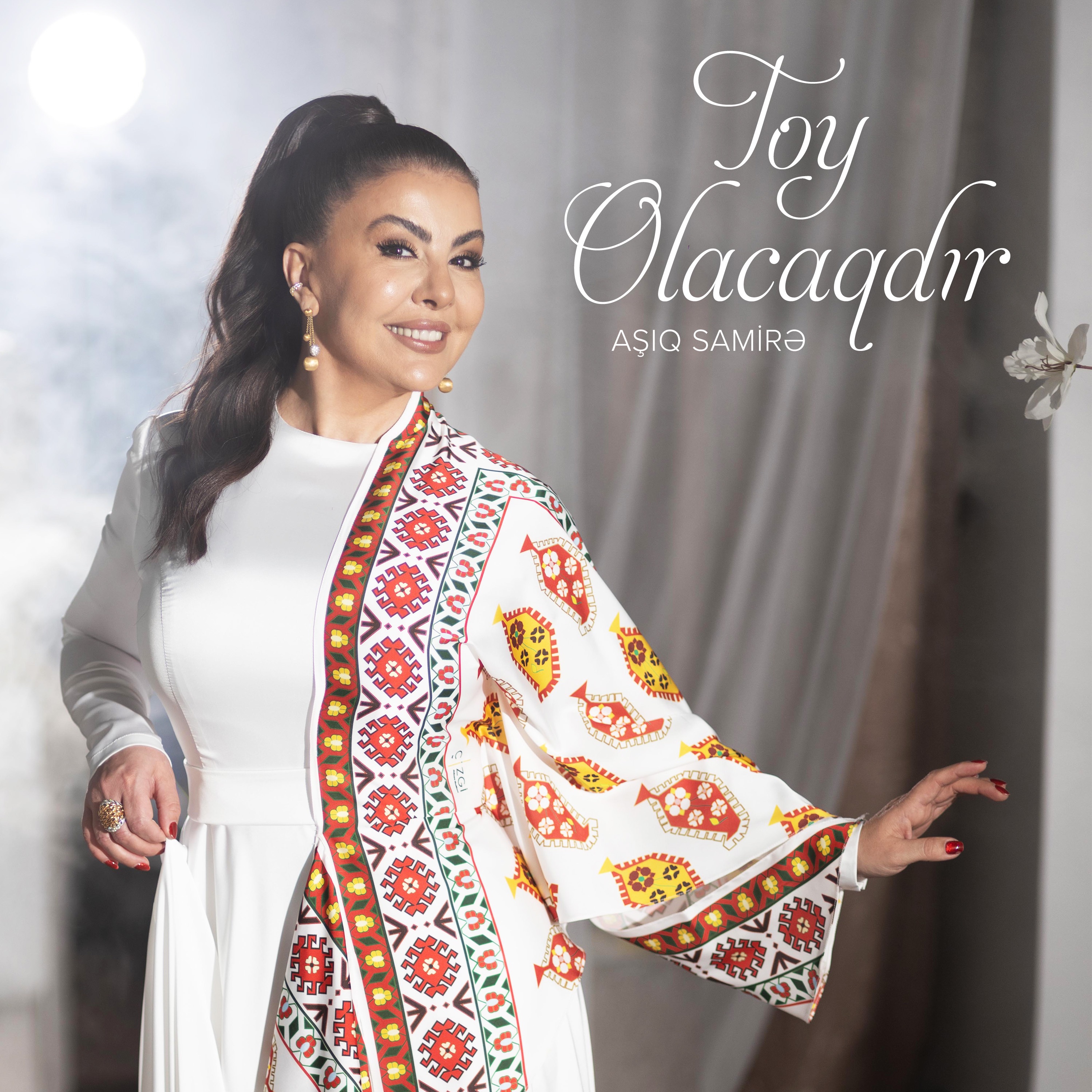 Toy Olacaqdır - Single