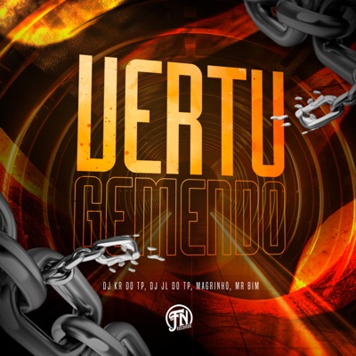 Ver Tu Gemendo (feat. DJ JL DO TP) - Single