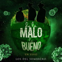 De Lo Malo Lo Bueno (En Vivo) - Los Del Sombrero