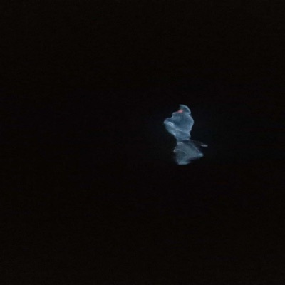 追寻幸福彼岸 - Single