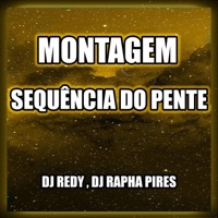 MONTAGEM SEQUÊNCIA DO PENTE (feat. DJ RAPHA PIRES) - Single - DJ REDY
