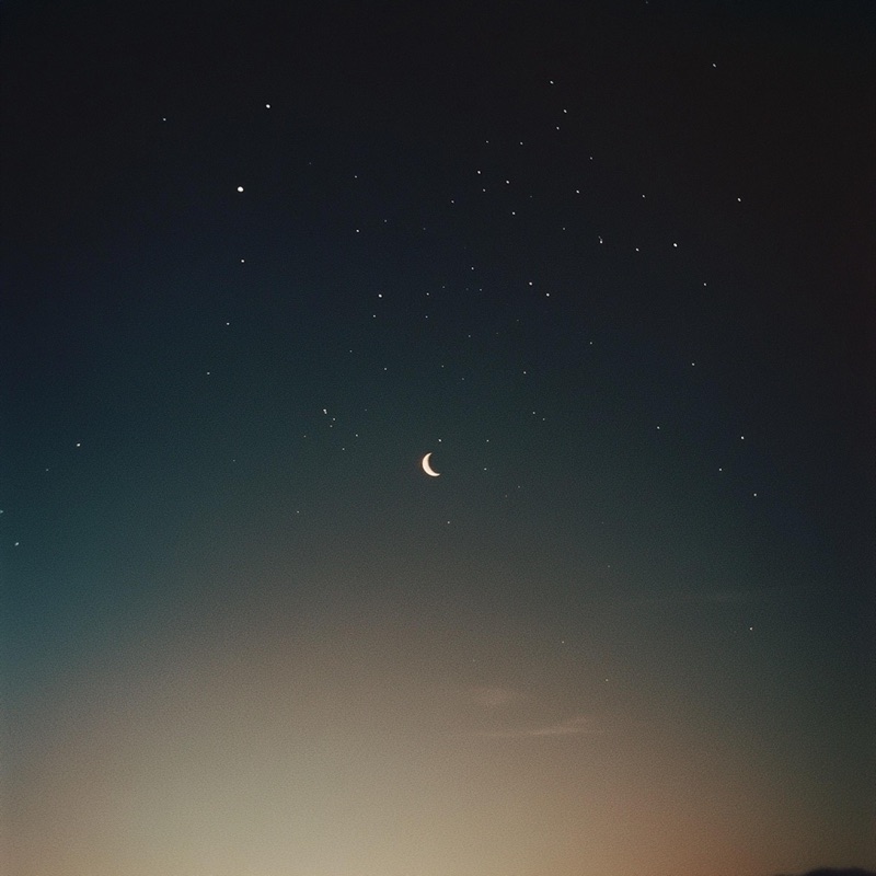Rest (Spa)