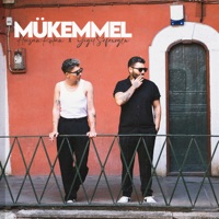 Mükemmel - Single - Yiğit Seferoğlu & Hasan Kutan