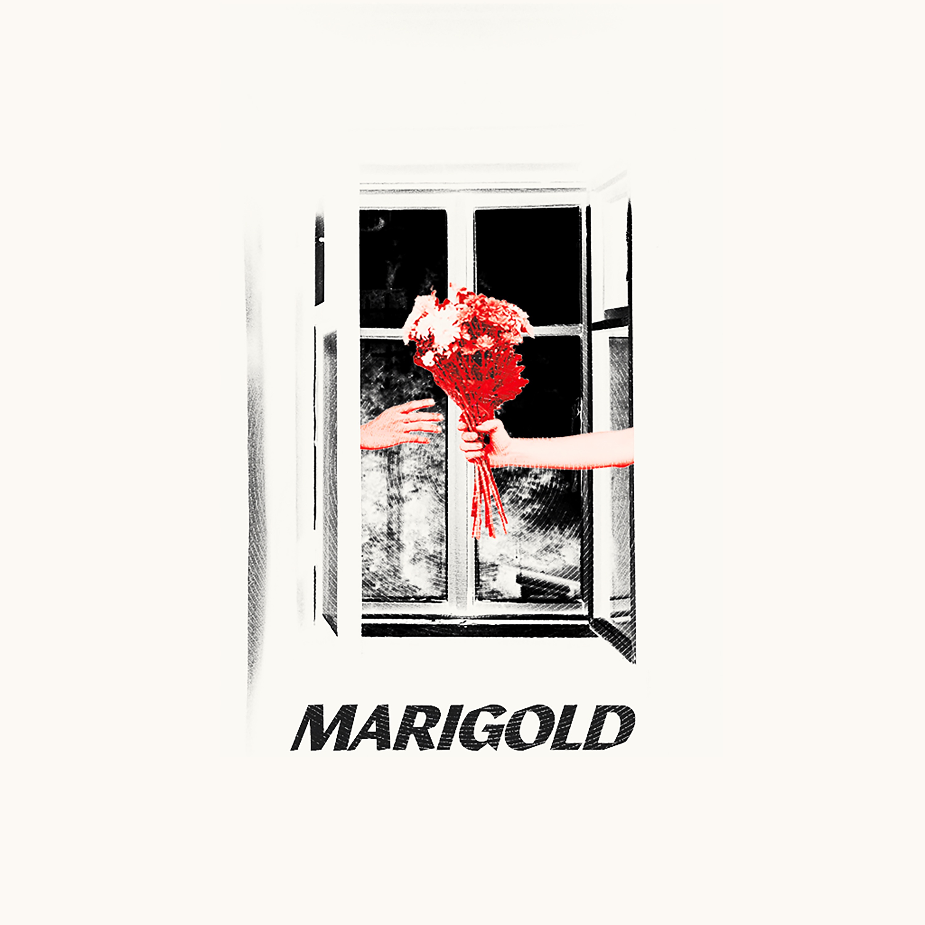 Marigold - Single