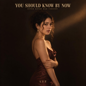 You Should Know By Now (Emotional Version) song art