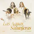 Las Aguas Salutiferas