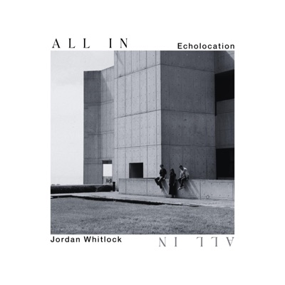 All In - Single