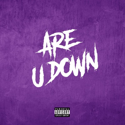Are U Down (Slowed Down) - Single