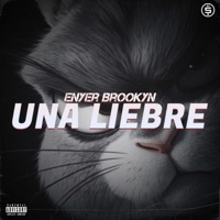 Una Liebre - Single - Enyer Brooklyn