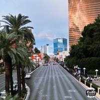 Crazy - Single - Gabe Duh Goat