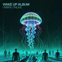 The local music venue — Umbre Online