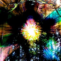 New Laws - EP - B9wolf