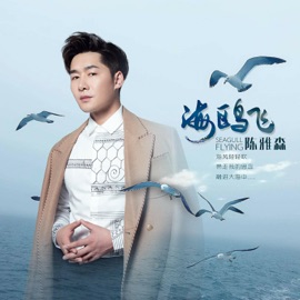 海鷗飛 (伴奏版) Chen Ya Sen