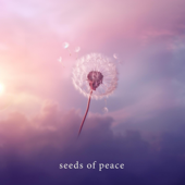 Flight of Wishes (Singing Bowls)