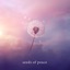 Flight of Wishes