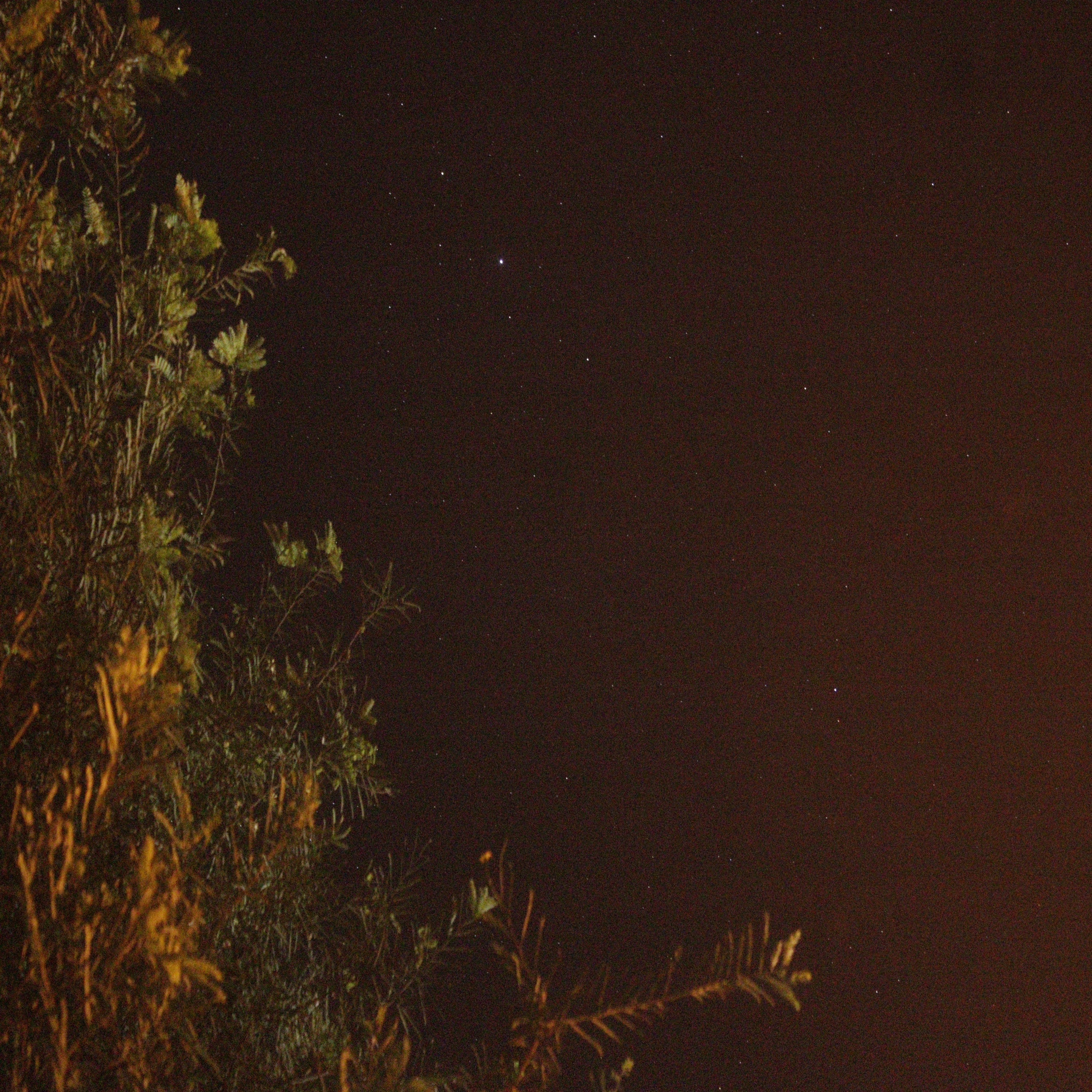 Salva Vidas - Single