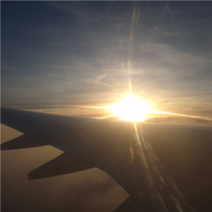 Open Air Backseat - Single