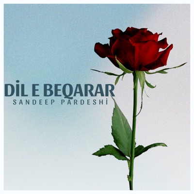 Dil E Beqarar - Single